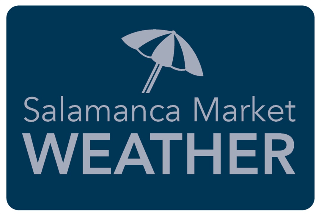 Salamanca weather Salamanca Market