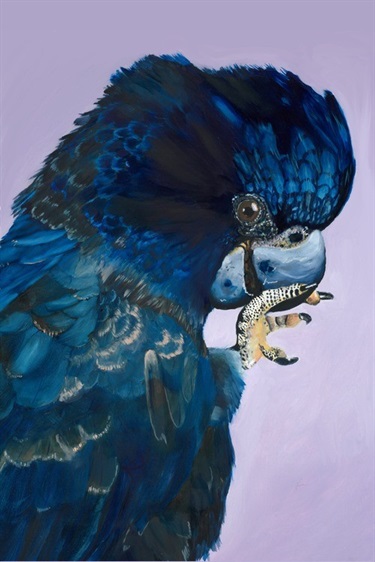 FionaForshawArtist-Print4-1.jpeg