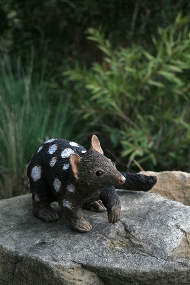 Mahalia-White-McColl-Large-Sculpture-Quoll.jpg