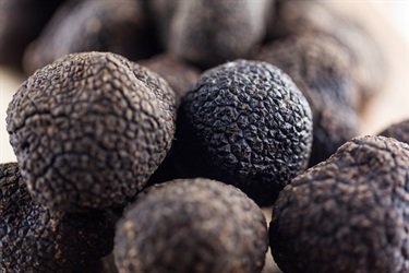 truffles